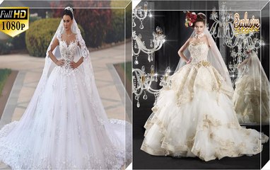 Beautiful and Elegant Wedding Dresses (Gowns):  (Wedding Album Collection 1)
