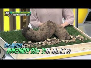 식물성 에스트로겐의 여왕 '칡' [내 몸 사용 설명서] 77회 20151120