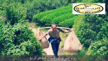 قناة الريادة - شاي أغلى من الذهب بثلاثين مرة و سعر الكيلوجرام أكثر من مليون دولار!!؟؟