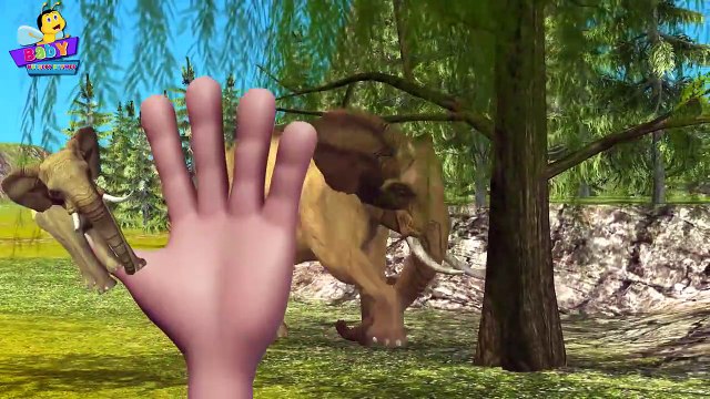 Finger Family Elephant Family Rhymes _ Animals Cartoon Finger Family Rhymes fo
