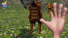 Finger Family of Wolves  _ Wolf Finger Fam