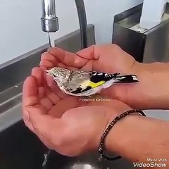 سبحان اللہ کیا خوبصورت منظر ہے جزاک اللہ