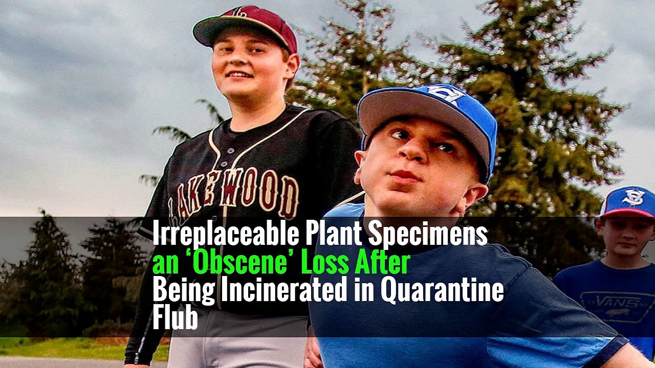 Irreplaceable Plant Specimens an ‘Obscene’ Loss After Being Incinerated in Quarantine Flub
