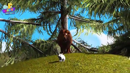 Lion Finger Family 3D _ Animals Cartoons Finger Family Children