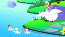 Fünf kleine Enten _ Karikatur für Kinder _ Beliebt Kinderlied _Five Little Ducks-9FxmfSf2b