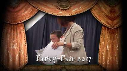 Fancy-Faire 2017 à l'école St-Joseph (AMICO Gaspare) 13/05/2017