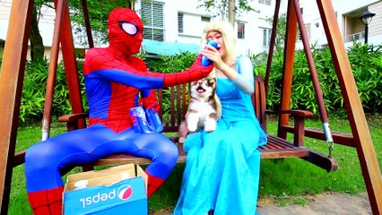 SURPRISE FANTA PYRAMID CHALLENGE SPIDERMAN needs To PEE on Frozen Elsa's Toilet! Real Life Superhero