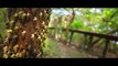 Keshava Official Trailer _ Nikhil _ Ritu varma _ Isha Koppikar _ Sudheer Varma _ Abhishek Pictures - 2017 Full HD