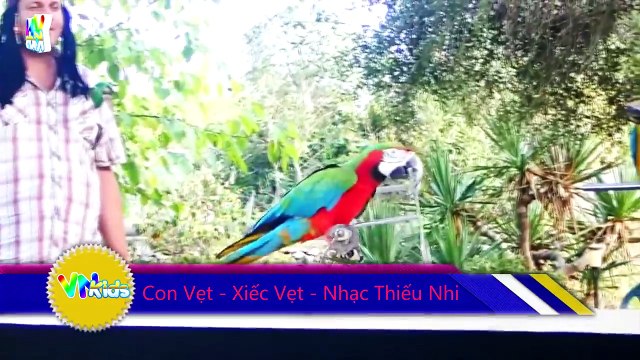 Cá Heo - Xiếc Cá Heo - Liên Khúc Nhạc Thiếu Nhi Vui Nhộn Sôi Động Hay Nhất