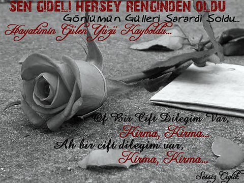 Ibrahim Erkal - Onu Benim Gibi Sevme