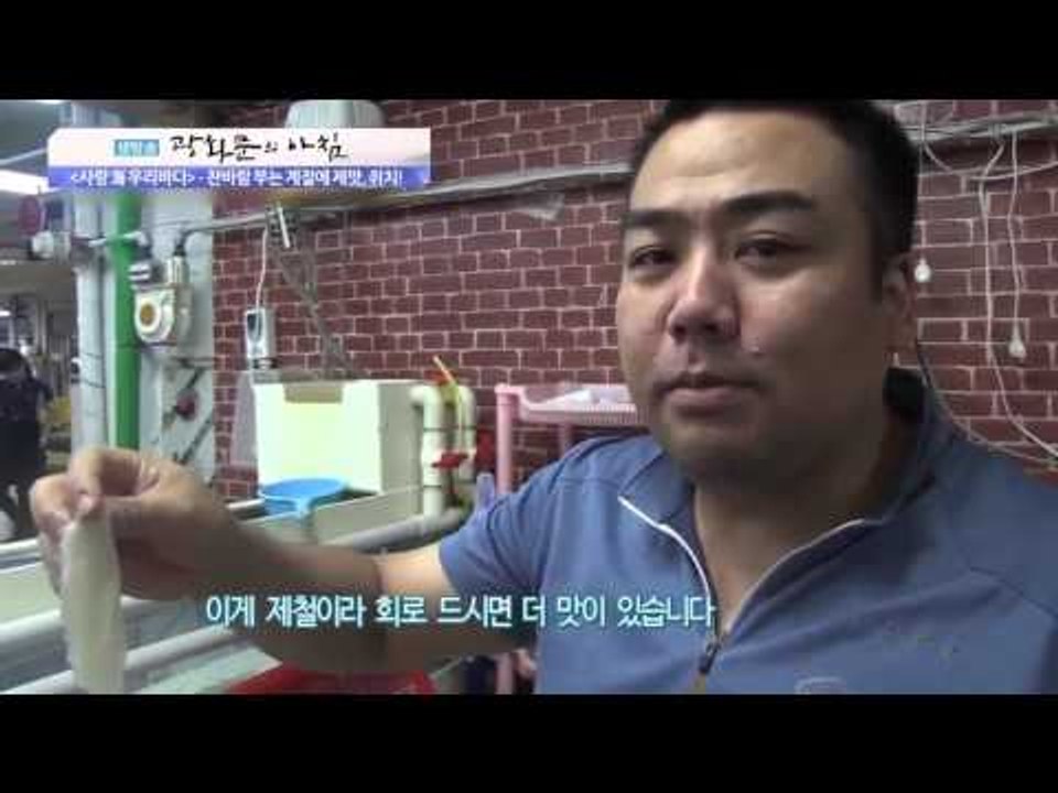 찬바람 부는 계절에 제맛, 쥐치!  [광화문의 아침] 109회 20151111