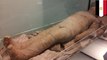 Egypt mummies: Ancient burial chamber with preserved mummies uncovered in Egypt