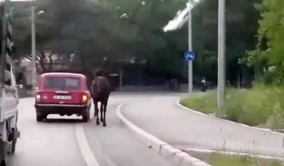 İzmir’de tepki çeken işkence görüntüsü