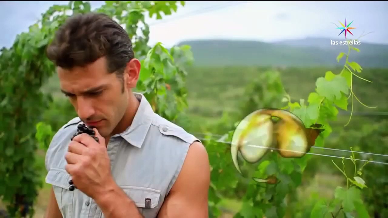 ¡León le propone matrimonio a Sonia! | Vino el amor - Televisa