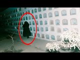 5 Cemetery Creatures Caught On Camera & Spotted In Real Life!