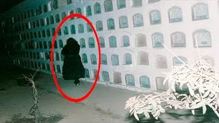 5 Cemetery Creatures Caught On Camera & Spotted In Real Life!