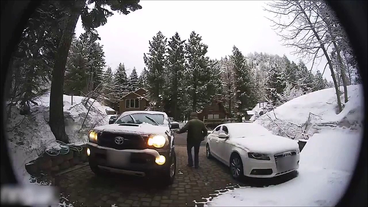 Un ourson s'est planqué dans sa voiture... Peur de sa vie!
