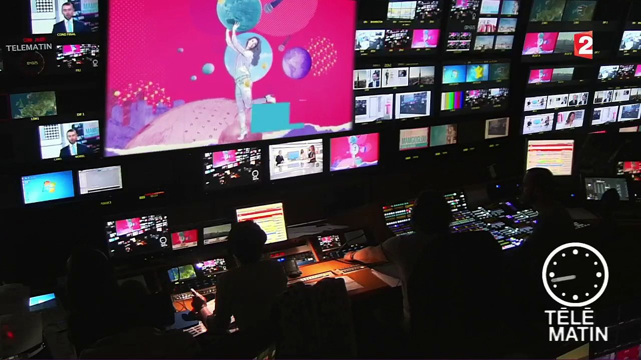 Estonie et numérique avec Yann Bonnet sur France 2
