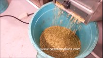 Proctor Roasting Machine - Ozstar Machine