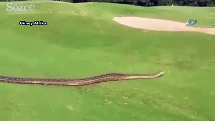 Bir anda golf sahasında belirdi