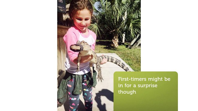 Heed a Savvy, Seasoned Guide's Tips about Everglades Airboat Rides