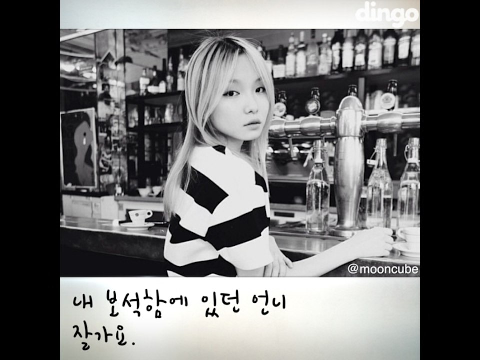 [Dingo HI] 이문규 편