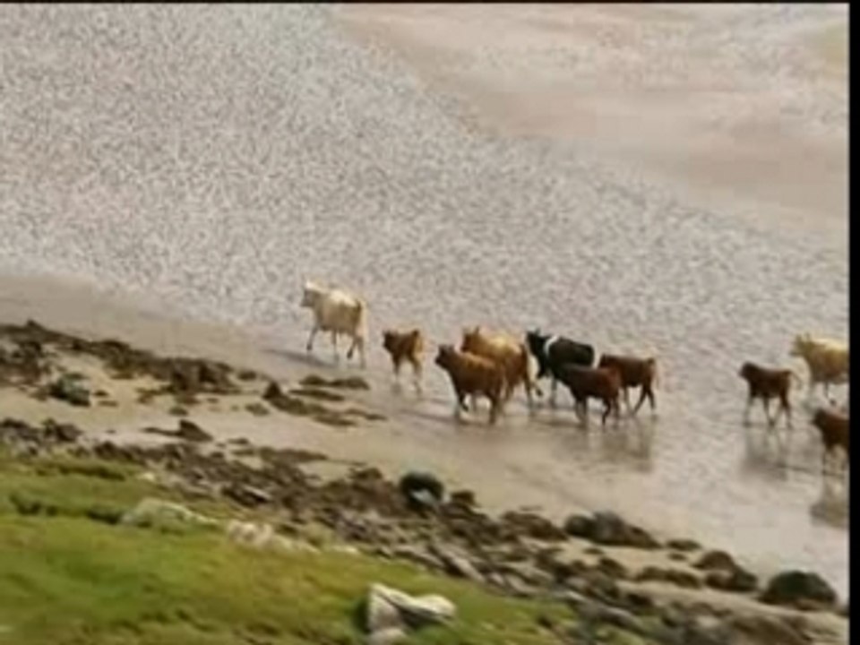 Vers le Cap Nord