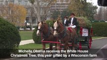Michelle Obama receives White House ChLs