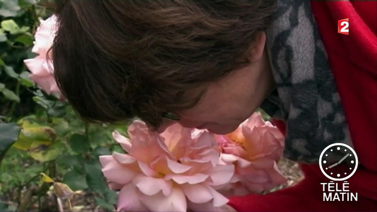 Odorat : les hommes ont un nez aussi performant que les animaux