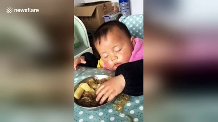 Toddler falls asleep while eating noodles