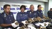 Malaysian authorities seize hundreds of endangered tortoises