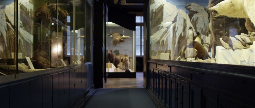 Musée zoologique - Strasbourg
