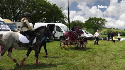 Tréouergat (29). Carton plein pour la fête du cheval