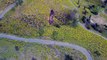 Un drone filme un aigle en train de planer