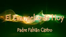 EVANGELIO DEL DÍA 15/05/2017 - PADRE FABIÁN CASTRO