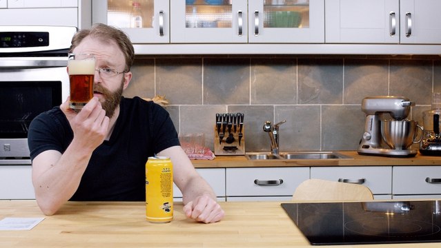 24 Beers Project #15 Special Pale Ale