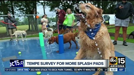Tempe survery for more splash pads...for dogs, kids!