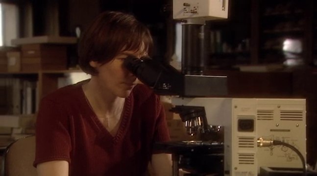 Europe in the Middle Ages (3of4) Peasants and Nobles