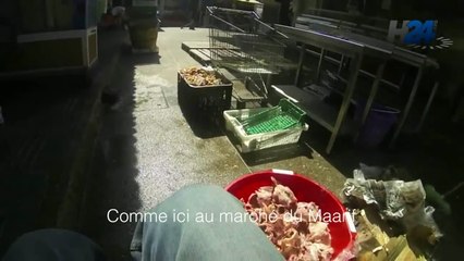 Reportage - Une journée en fauteuil roulant à Casablanca - H24info