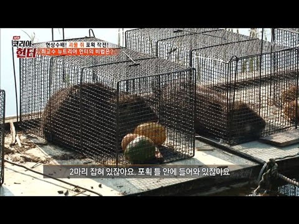 전국 1등 뉴트리아헌터의 포획방법 대공개! [뉴 코리아 헌터] 50회 20170515