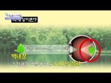 소리 없는 시력도둑 백내장 [광화문의 아침] 103회 20151103