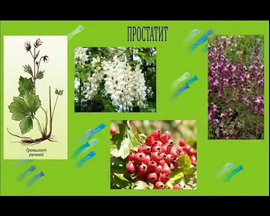 Лечение простатита в домашних условиях. Простатит лечение народными средствами. Лечение дома