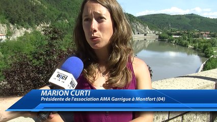 Alpes de Haute-Provence : le Festival de Montfort lance un appel aux dons pour sauver l'événement