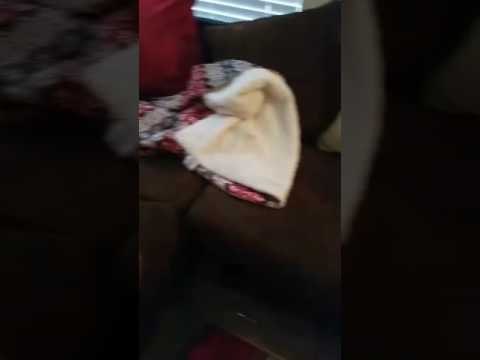 Creative Kid Redecorates Furniture Using Chocolate