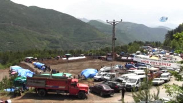 Artvin'de Kıran Kırana Boğa Güreşi