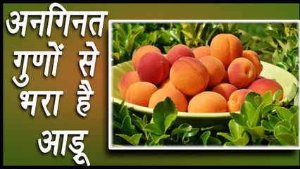 Peach, आड़ू | Health Benefit | अनगिनत गुणों से भरा है आड़ू | Boldsky