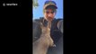Baby kangaroo tries to climb into man's hoodie because it looks like a pouch