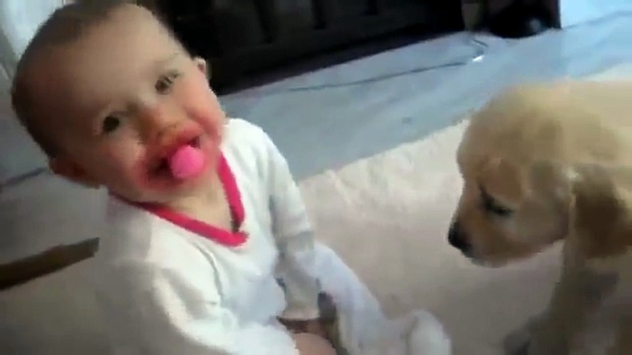 Labrador Puppy Meets Baby For The Very First Time