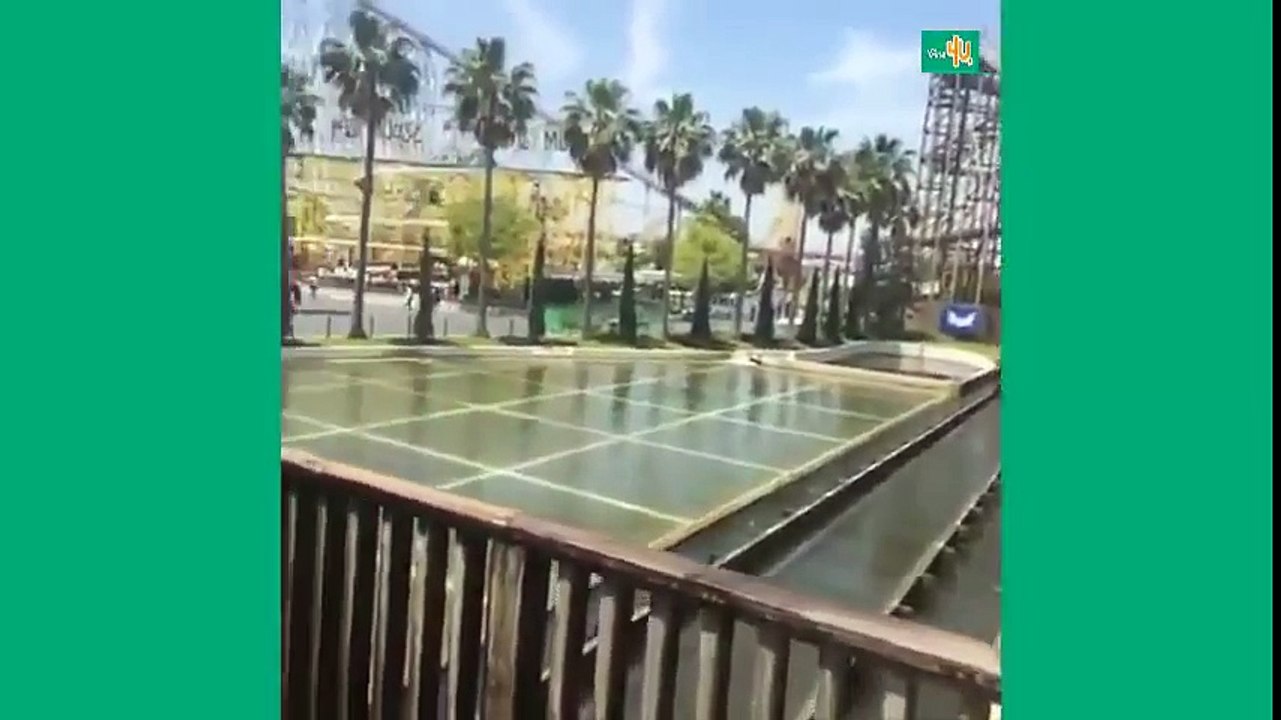 Vines of November 2014  __ Vines 4U ✔