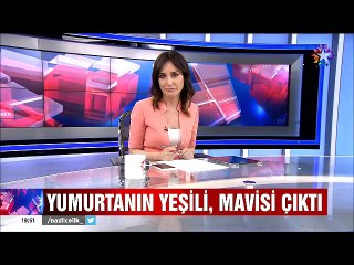 Yumurtanın da yeşili mavisi çıktı tanesi 20 lira